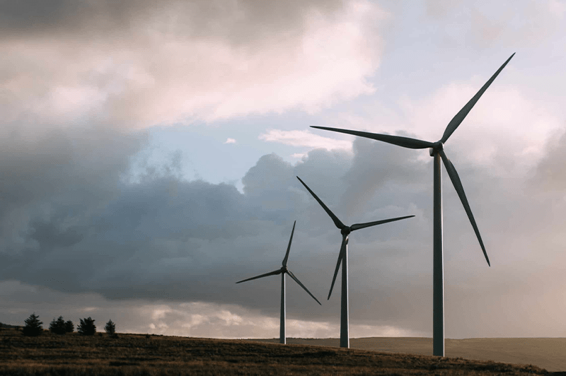 Wind turbines in field